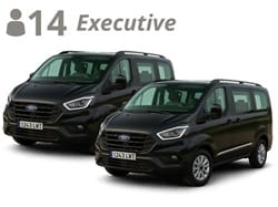 2 MINIVANS, up to 14 passengers with luggage