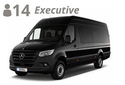 VAN STRETCH, up to 14 passengers with luggage